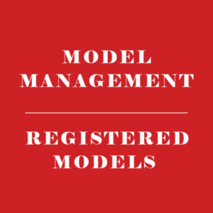 EXCEL MODEL MANAGEMENT REGISTERED MODELS